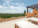 Luxury penthouse Nueva Andalucia (1)