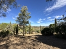 Beautiful Finca Full of Character Mijas Spain (30)