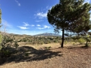 Beautiful Finca Full of Character Mijas Spain (31)