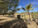 Beautiful Finca Full of Character Mijas Spain (40)