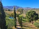 Beautiful Finca Full of Character Mijas Spain (48)