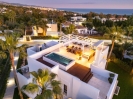 Luxury Modern Villa Marbella Golden Mile Spain (7)