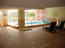 Villa Pez Indoor Pool 2